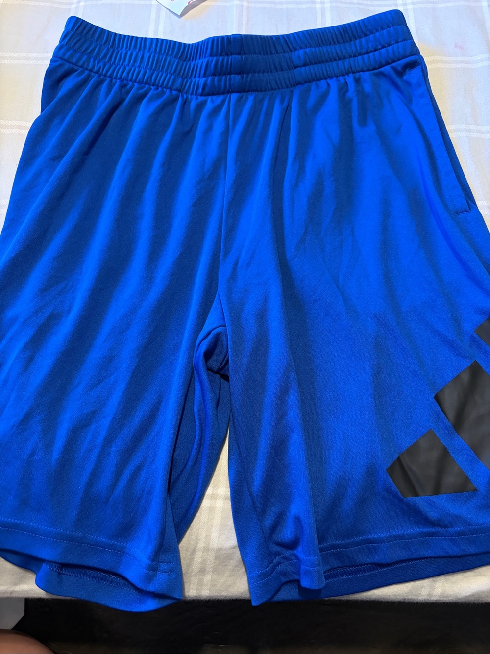 adidas Bright Blue Athletic Shorts with Black Accent